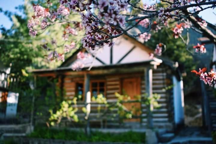 Cabanas Montebello Inn Креел Екстериор снимка